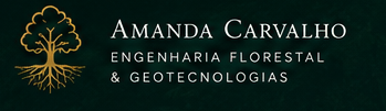 Amanda Carvalho Engenharia Florestal e Geotecnologias
